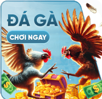 Đá gà