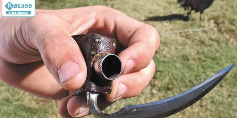 Hình thức cá cược ấn tượng hấp dẫn Hình thức cá cược ấn tượng hấp dẫn